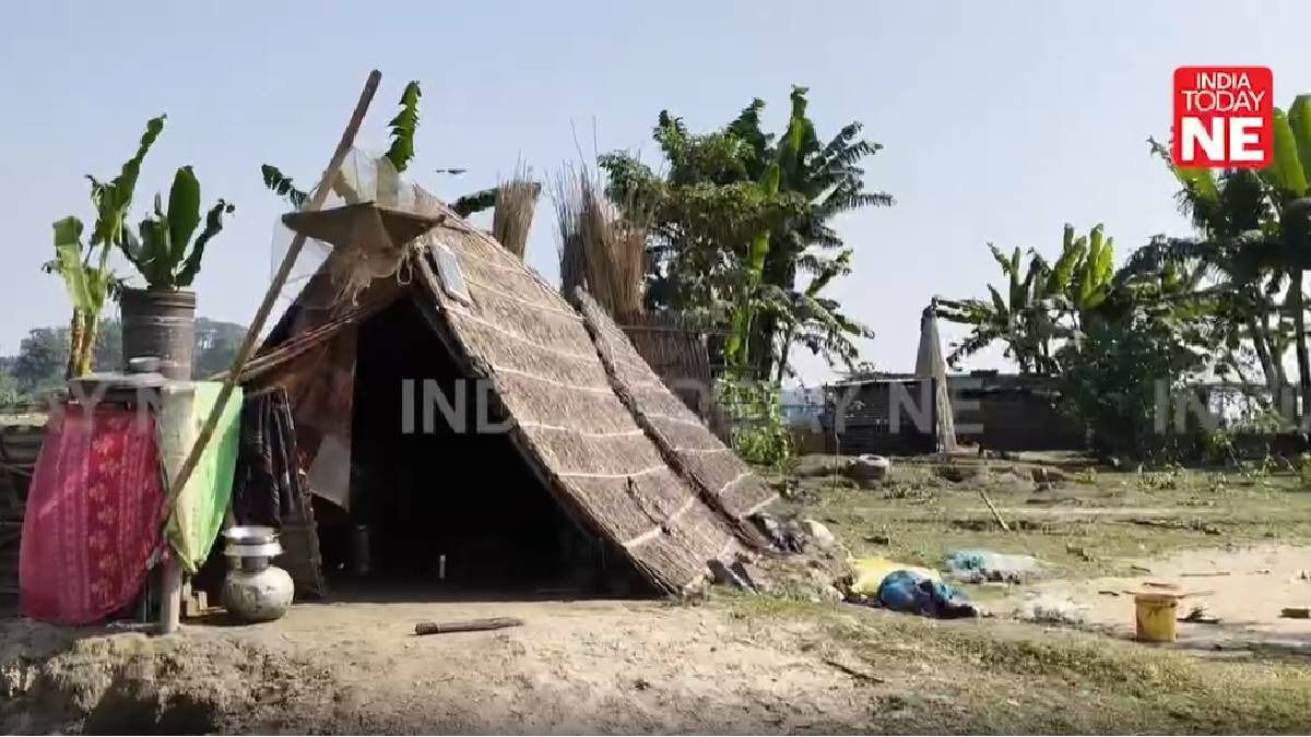 Grazing land re-encroached in Assam's Jogighopa, 533 bighas turn into new settlement overnight