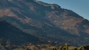 700 acres of illegal poppy cultivation uncovered in Manipur’s reserved forests: Ex-CM Biren Singh