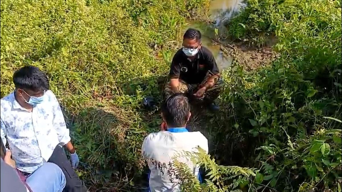 Assam: Elephant calf found dead in Torani Reserve Forest, tiger attack suspected