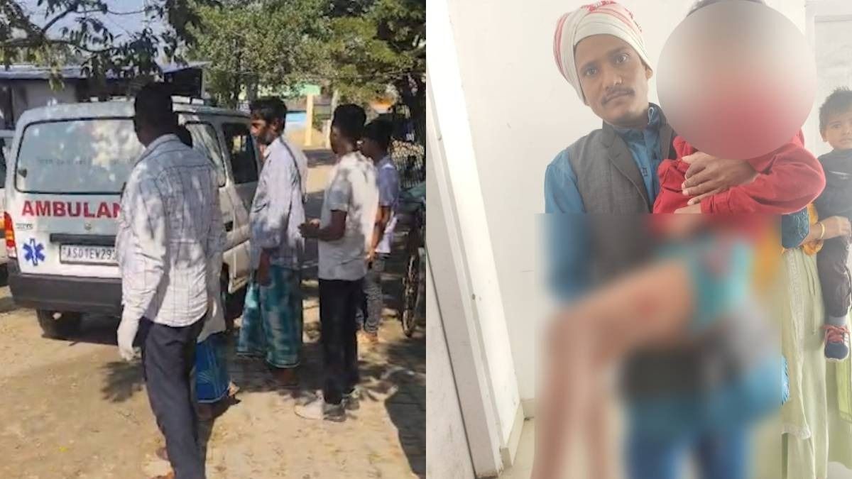 Wild animal attacks trigger panic in Assam's Boko; Farmer killed, 6 children injured