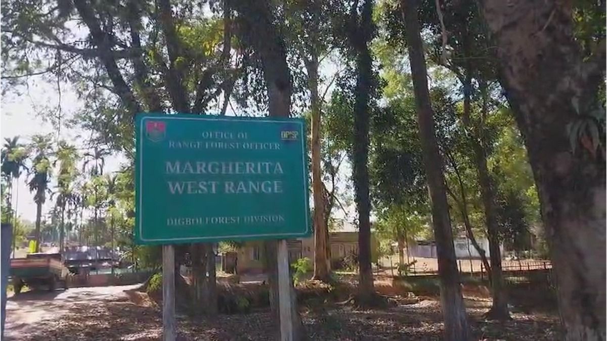 Assam: Farmer trampled to death in elephant attack at Balijan Dirok tea estate