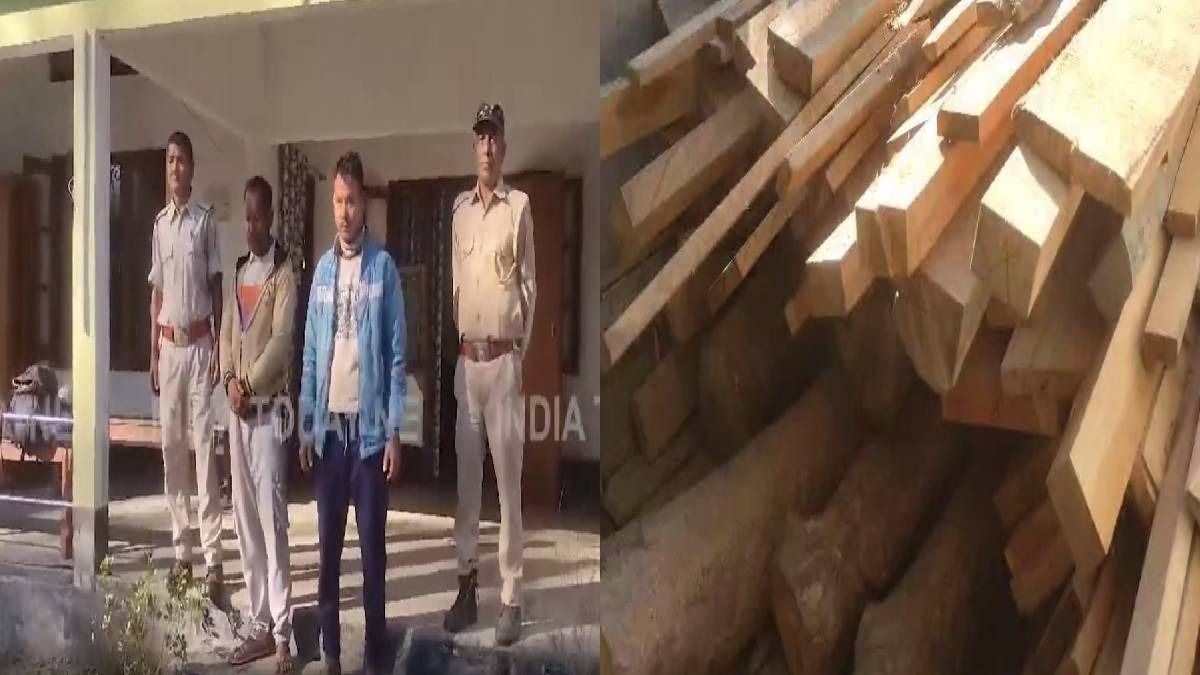 Forest department busts timber smuggling network in Morigaon, two arrested with illegal wood haul