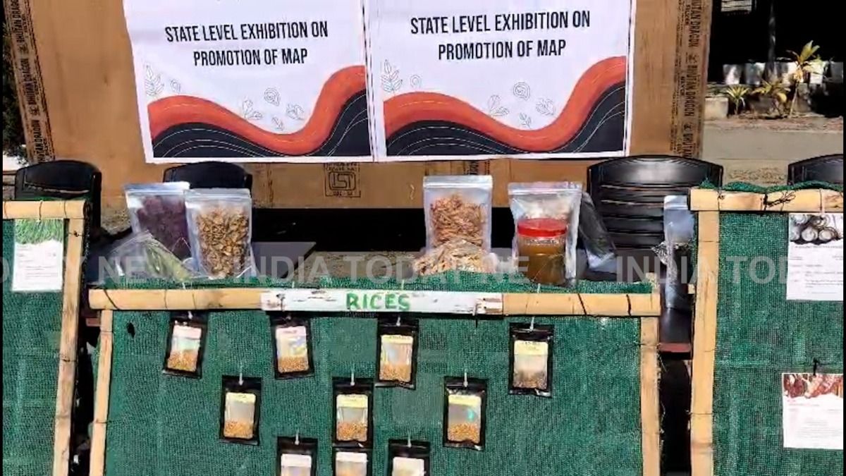 Manipur's Kangpokpi host capacity-building programme, highlighting livelihood potential of medicinal plants in northeast