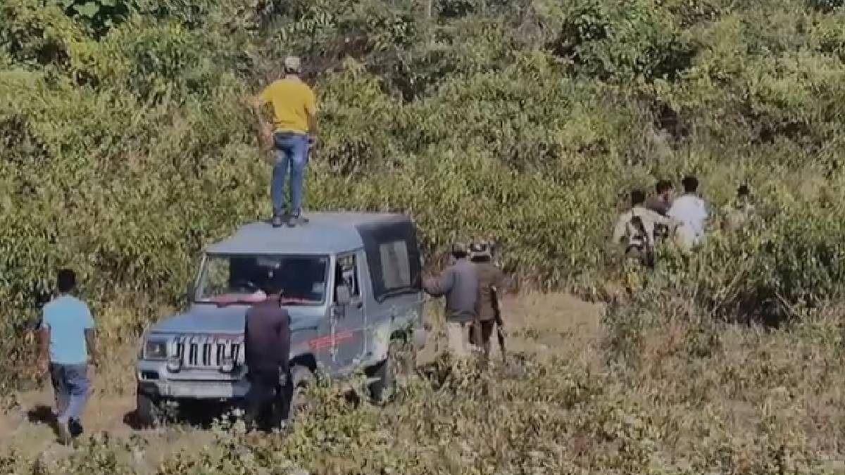 Assam: Fear grips Kaliabor's Bamuni as elephants camp near residential area, causes panic among locals