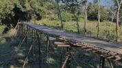 Decades of neglect: Villagers forced to use fragile bamboo bridge in Kaliabor, no permanent solution in sight Decades of neglect: Villagers forced to use fragile bamboo bridge in Kaliabor, no permanent solution in sight