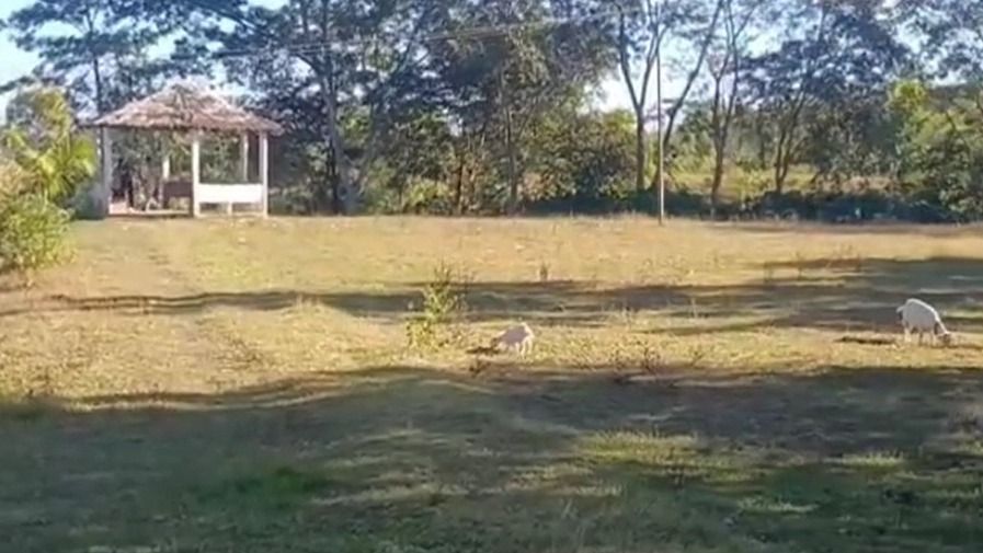 Biodiversity Park in Assam's Sribhumi shows signs of neglect five years after launch