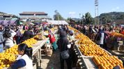 Orange festival returns to Manipur's Tamenglong, reviving growers’ livelihoods Orange festival returns to Manipur's Tamenglong, reviving growers’ livelihoods