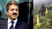 What made Anand Mahindra feel inspired to explore Sikkim? What made Anand Mahindra feel inspired to explore Sikkim?