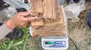 Five arrested, over 2.7 kg cannabis seized in Assam’s Margherita Five arrested, over 2.7 kg cannabis seized in Assam’s Margherita