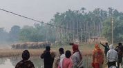 Elephant herd enters villages in Assam's Boko, residents stay indoors as damage mounts Elephant herd enters villages in Assam's Boko, residents stay indoors as damage mounts