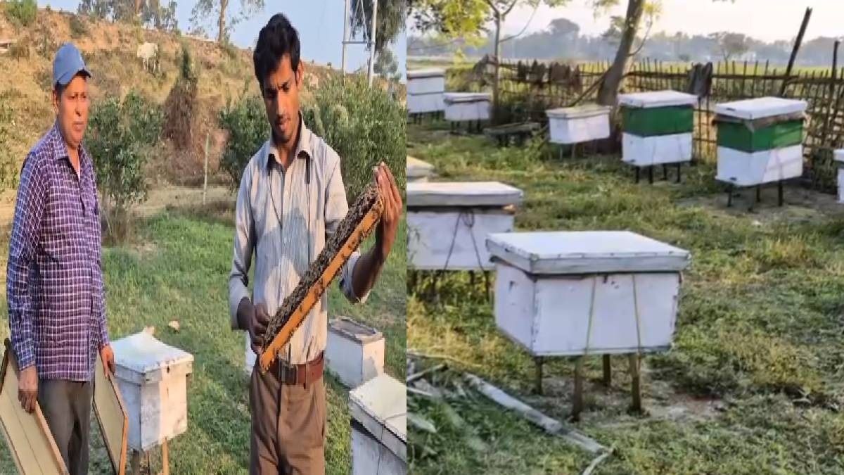 From classroom to apiary: Assam teacher’s four years of beekeeping journey inspires youth