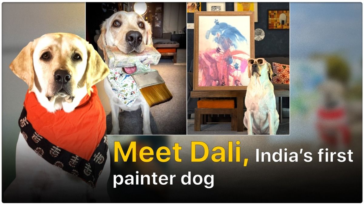 Meet Dali, India’s first painter dog, who is travelling across states with her art