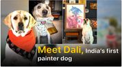 Meet Dali, India’s first painter dog, who is travelling across states with her art Meet Dali, India’s first painter dog, who is travelling across states with her art