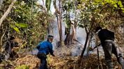 Assam: Major fire engulfs Laisong Reserved Forest in Dima Hasao, youth seriously injured Assam: Major fire engulfs Laisong Reserved Forest in Dima Hasao, youth seriously injured