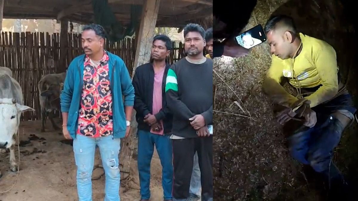 Suspected cattle thief caught, assaulted by villagers in Assam's Kokrajhar 
