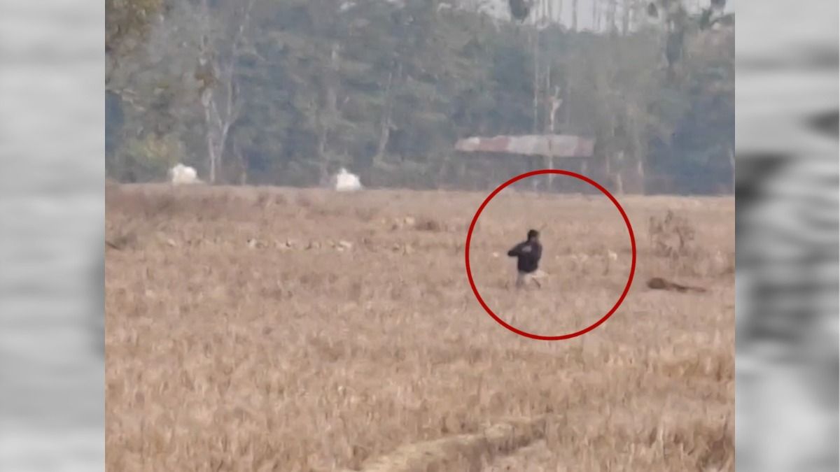 Assam: Tiger attacks two in Golaghat’s Upper Langtha village