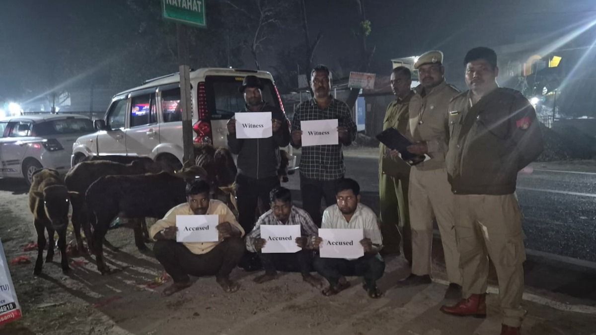 Major cattle smuggling racket busted in Assam's Bilasipara, 3 arrested, kingpins absconding