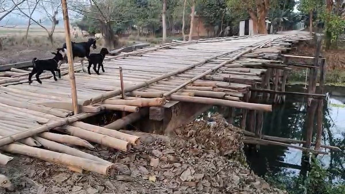 Assam: Dilapidated wooden bridge in Bajali's Amdah Jamguri causes severe hardship to locals