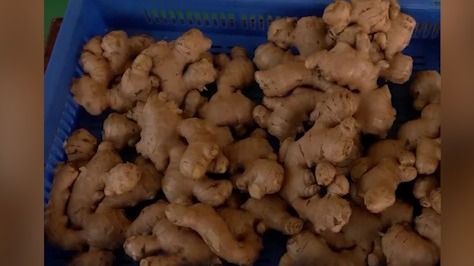 Assam’s GI-tagged Karbi Anglong ginger reaches London in landmark export push