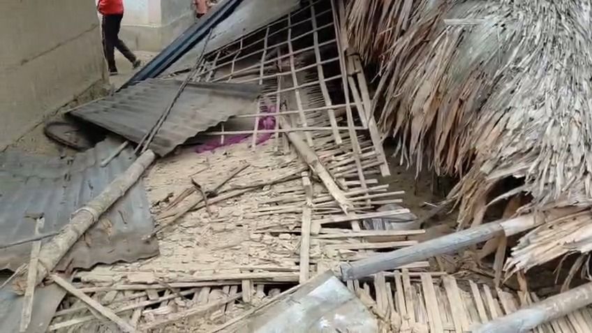 Mother, son killed in wild elephant attack at tea garden in Assam’s Tinsukia