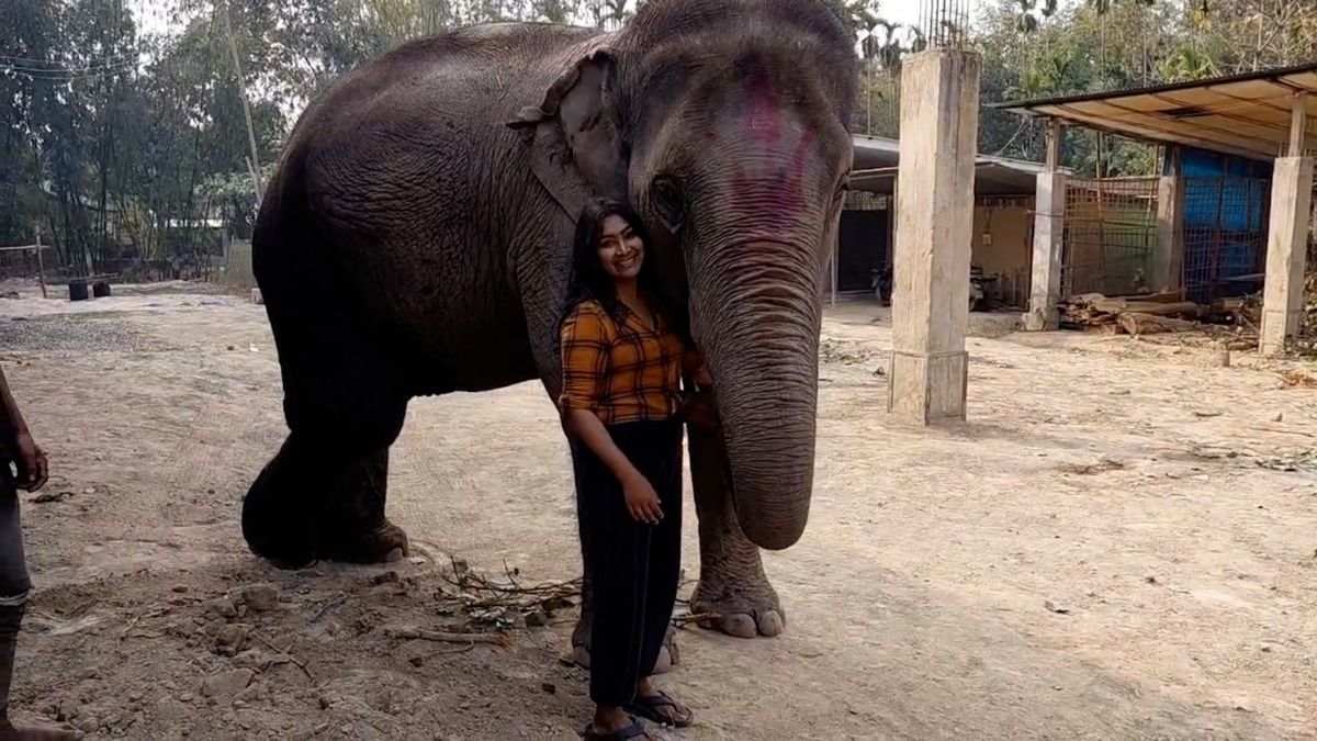 Women’s Day: Assam’s ‘Elephant Girl’ from Bokakhat dedicates life to caring for elephants