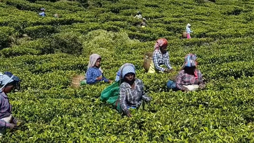 Assam Chah Mazdoor Sangha Nagaon unit extends support to Bharatiya Janata Party ahead of Assembly polls