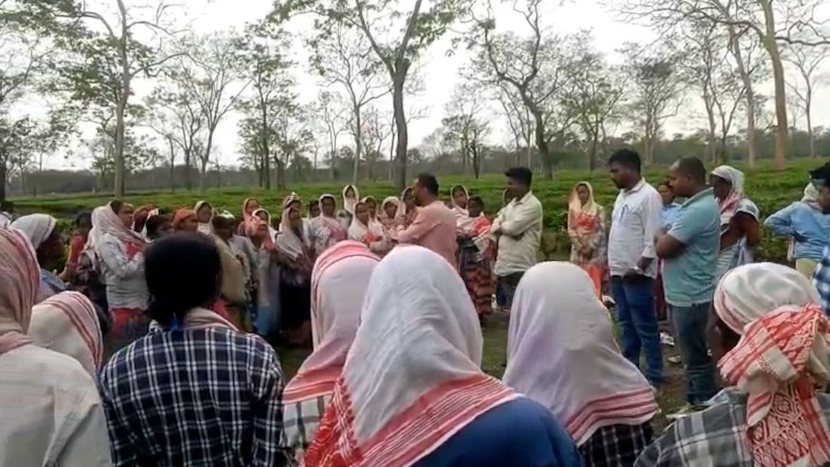 "No wages, no votes": AATSA issues warning to BJP in Assam's Tingkhong over unpaid dues
