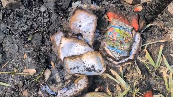 Assam: Fire guts house in Bajali, family loses cash, documents and livestock