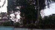 Assam: Doomdooma’s fading green cover raises alarm as residents push for urgent action Assam: Doomdooma’s fading green cover raises alarm as residents push for urgent action