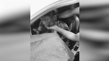 Man shot dead in suspected militant ambush along NH-202 in Manipur