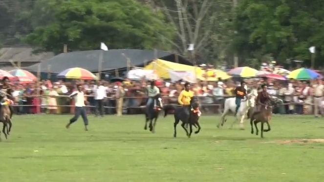 Elephant races, horse sprints draw crowds at 114th Suwari festival in Assam’s Boko