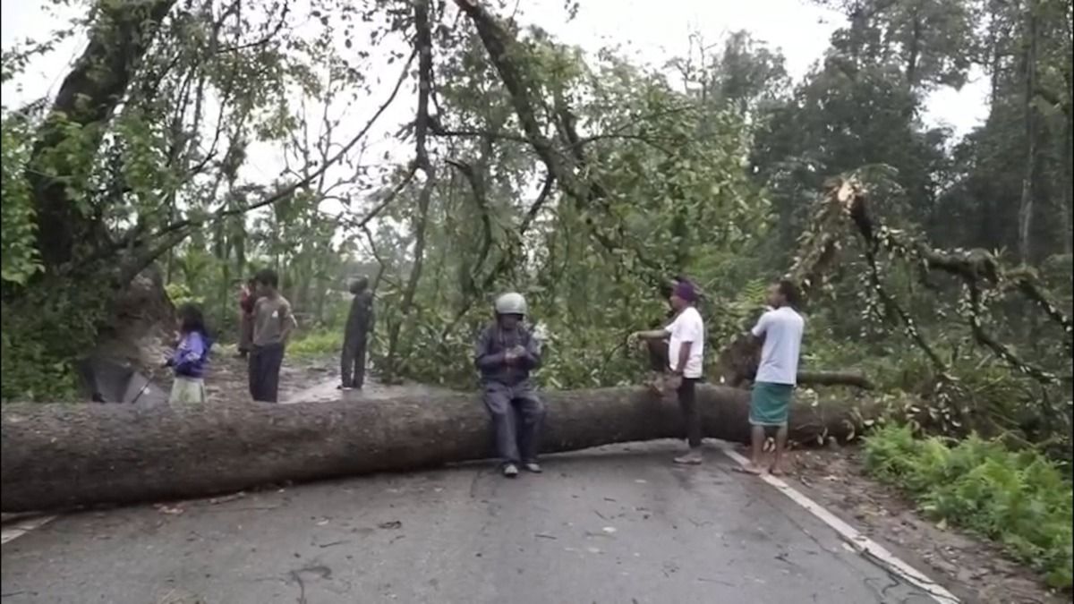 Assam–Arunachal connectivity hit after storm uproots trees in Tinsukia border areas