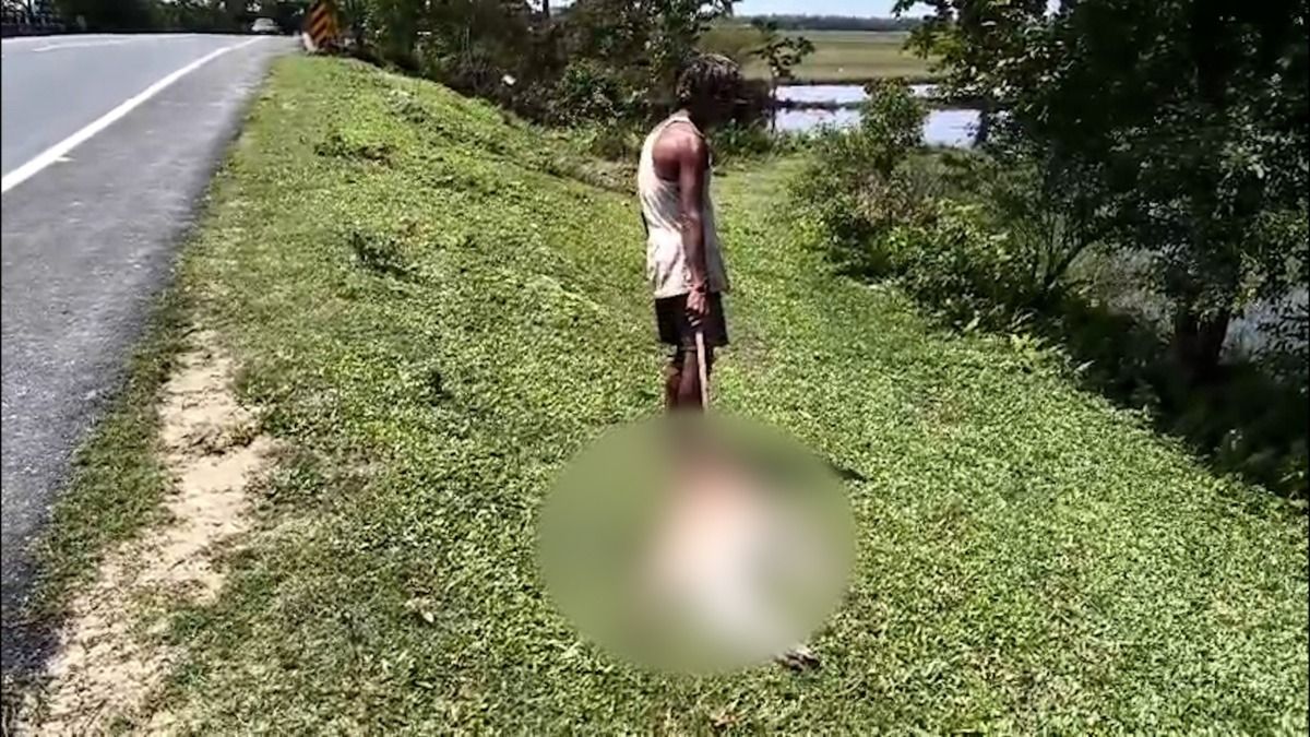 Calf killed days after fatal crash raises fresh safety concerns on NH-15 in Assam's Tinsukia