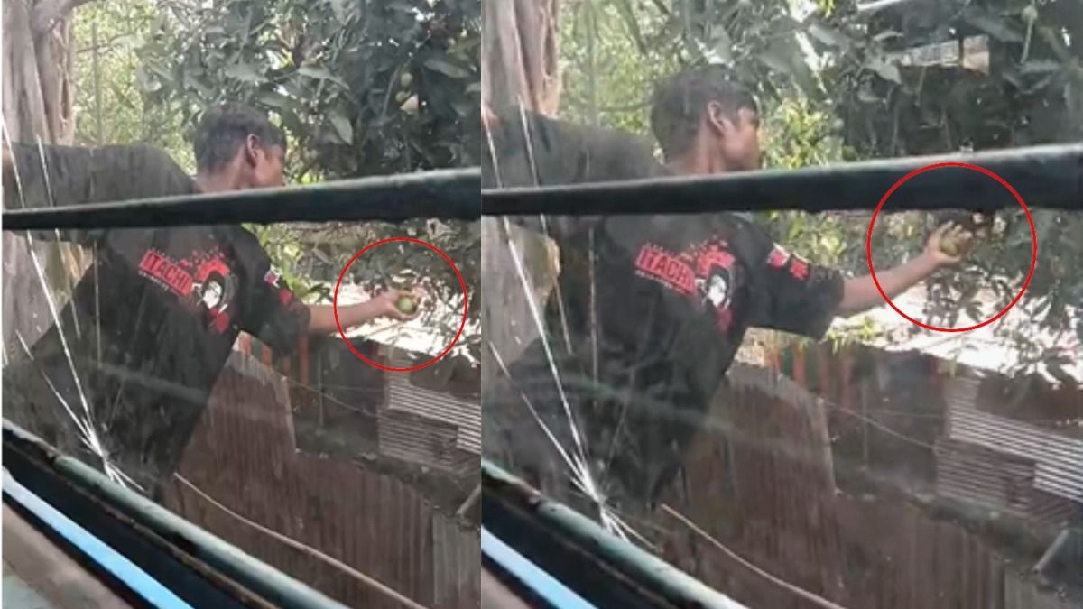Teenagers filmed risking lives on moving train to pluck mangoes in Assam's Tinsukia