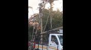 Lineman’s death during streetlight work in Tinsukia raises safety concerns in Assam power sector Lineman’s death during streetlight work in Tinsukia raises safety concerns in Assam power sector