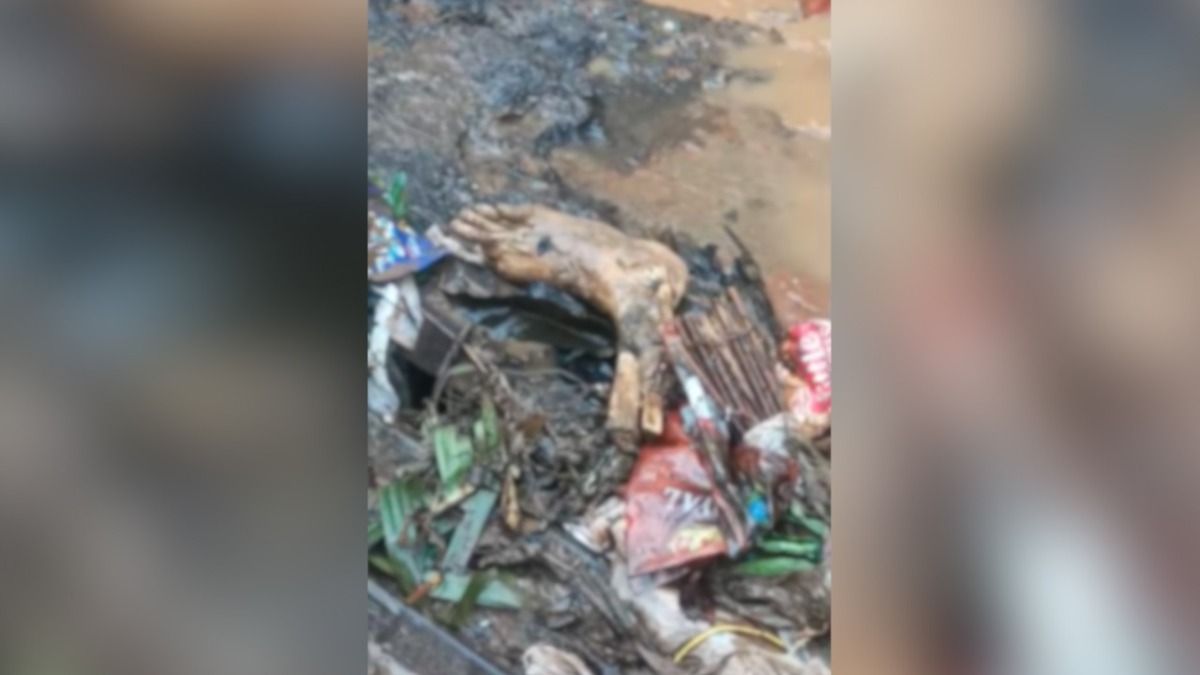 Flash flood frenzy: Rumours of severed leg found in Guwahati’s Bamunimaidam declared fake by police