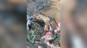 Flash flood frenzy: Rumours of severed leg found in Guwahati’s Bamunimaidam declared fake by police Flash flood frenzy: Rumours of severed leg found in Guwahati’s Bamunimaidam declared fake by police