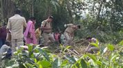 Woman allegedly burnt to death by husband in Assam’s Bongaigaon; accused absconding Woman allegedly burnt to death by husband in Assam’s Bongaigaon; accused absconding