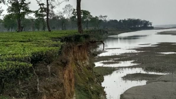 Assam: Brahmaputra erosion threatens 1,400 families in Tinsukia amid flood advisory
