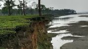 Assam: Brahmaputra erosion threatens 1,400 families in Tinsukia amid flood advisory Assam: Brahmaputra erosion threatens 1,400 families in Tinsukia amid flood advisory
