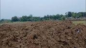 Illegal excavation along Sonai River raises flood concerns in Assam's Nagaon Illegal excavation along Sonai River raises flood concerns in Assam's Nagaon
