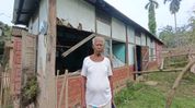 Wild elephants destroy homes in Assam village, spark outrage over forest department inaction Wild elephants destroy homes in Assam village, spark outrage over forest department inaction