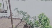 Assam: Kushiyara river erosion endangers historic temple, displaces families in Sribhumi Assam: Kushiyara river erosion endangers historic temple, displaces families in Sribhumi