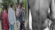 Assam forest department faces allegations of assault and illegal fishing nexus, villagers Assam forest department faces allegations of assault and illegal fishing nexus, villagers