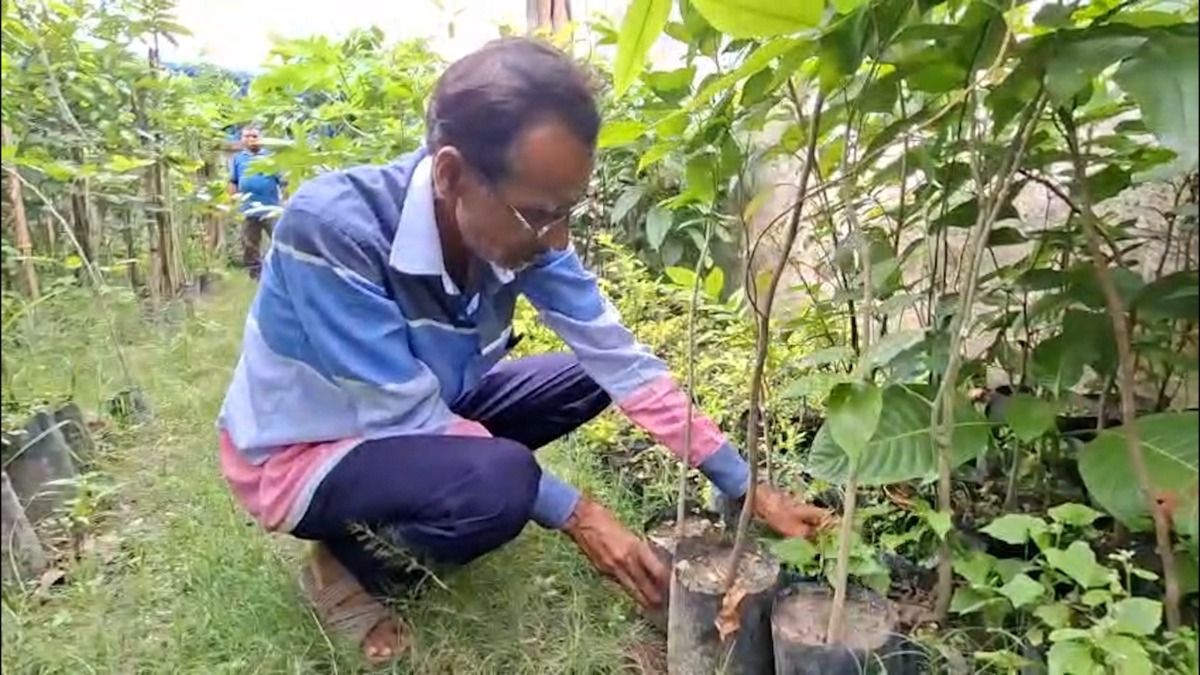 One man, thousands of trees: The quiet environmental effort of a Bongaigaon resident