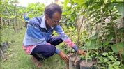 One man, thousands of trees: The quiet environmental effort of a Bongaigaon resident One man, thousands of trees: The quiet environmental effort of a Bongaigaon resident