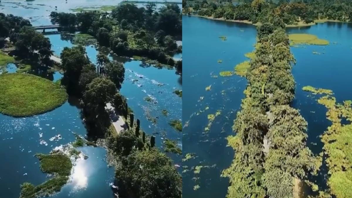 Tamranga-Konora Beels: The scenic wetland retreat drawing visitors to Assam’s riverine landscape