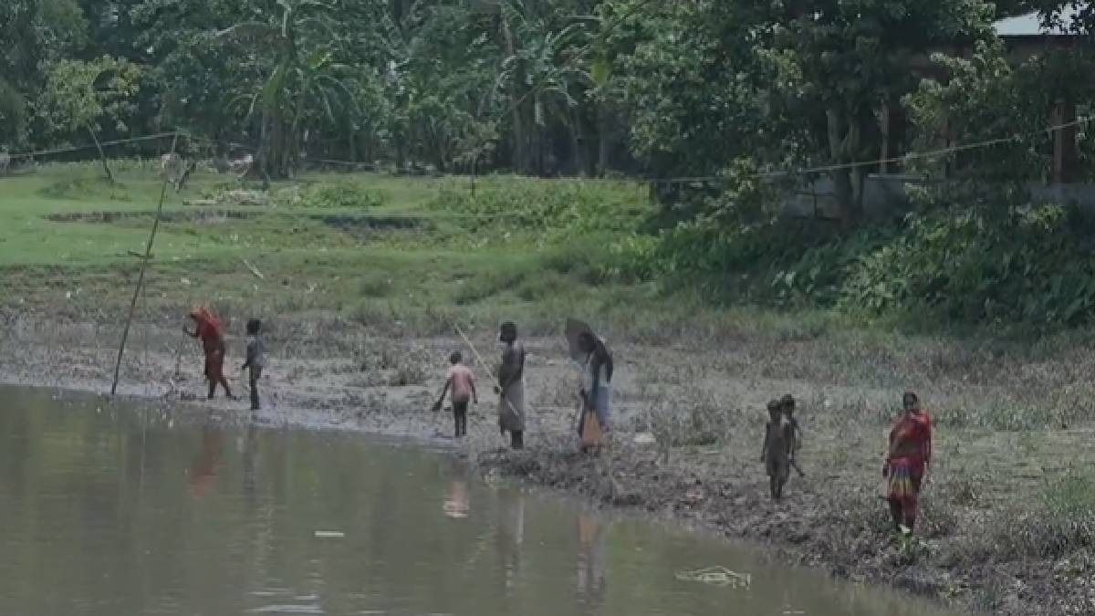 Industrial pollution allegations surface after mass fish deaths in Assam’s Kharkhari river