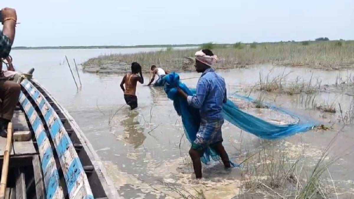 Assam: Fishery department launches major crackdown on illegal fishing in Brahmaputra