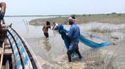 Assam: Fishery department launches major crackdown on illegal fishing in Brahmaputra Assam: Fishery department launches major crackdown on illegal fishing in Brahmaputra